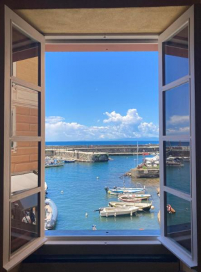 il Nero Camogli
